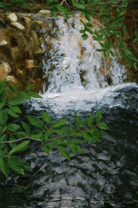 A textured painting of a small waterfall cascading over brown rocks, framed by vibrant green leaves in the foreground; signed 'Darin' in the bottom-right.