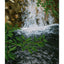 A textured painting of a small waterfall cascading over brown rocks, framed by vibrant green leaves in the foreground; signed 'Darin' in the bottom-right, with a white border.