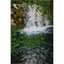 A textured painting of a small waterfall cascading over brown rocks, framed by vibrant green leaves in the foreground; signed 'Darin' in the bottom-right, with a white border.