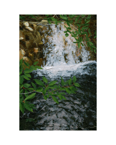 A textured painting of a small waterfall cascading over brown rocks, framed by vibrant green leaves in the foreground; signed 'Darin' in the bottom-right, with a white border.