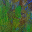 Abstract textured painting with layered brush and palette-knife strokes in  vibrant green, deep and bright blue, earthy brown tones and a dot of red.