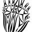 Black and white abstract pen‑and‑ink drawing with optical‑illusion shapes.