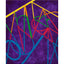 Abstract geometric painting featuring intersecting lines in yellow, green, red, and blue over a textured deep purple background, signed 'Darin' at the bottom center, with a white border.