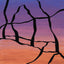 Abstract painting with a black outline of the Delicate Arch against a blue, purple, pink, and orange gradient background; signed, 'DARIN' in lower-right.